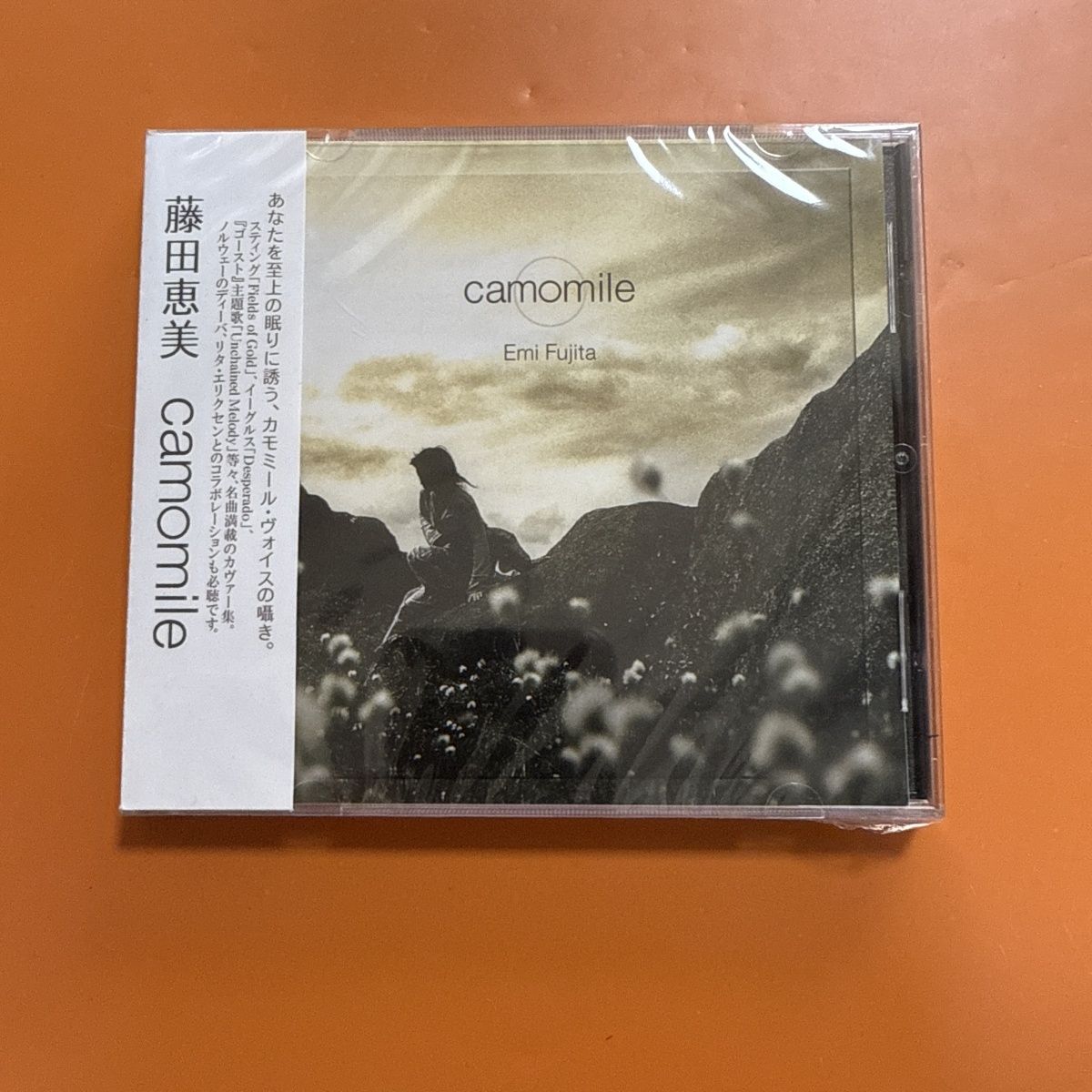 Musical Instrument In Japanese - Healing‑styled Japanese Folk Pop CD, Soft