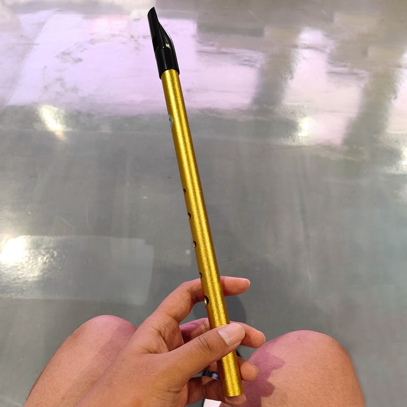 Tin Whistle Flute - 6 Hole Penny Whistle Student Professional