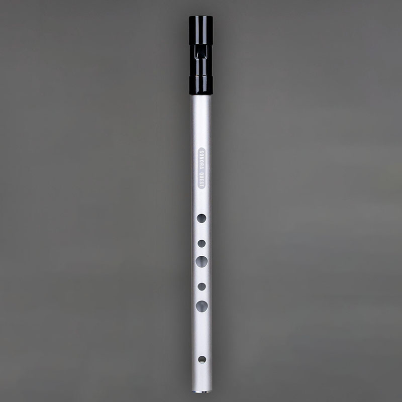 D Key 6 Hole Penny Whistle Met - Tin Whistle Flute recension och pris