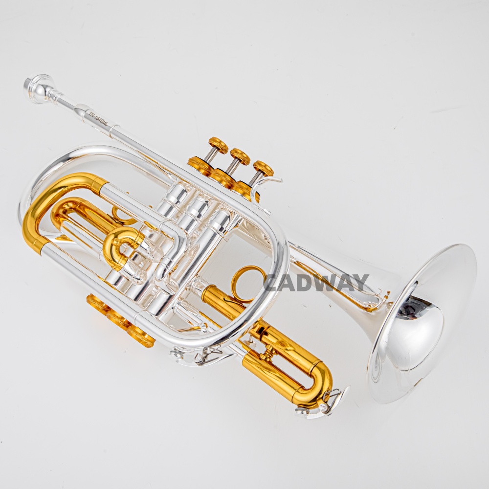 2026 High Grade BACH Silver Go - Musical Instrument Cornet recension och pris