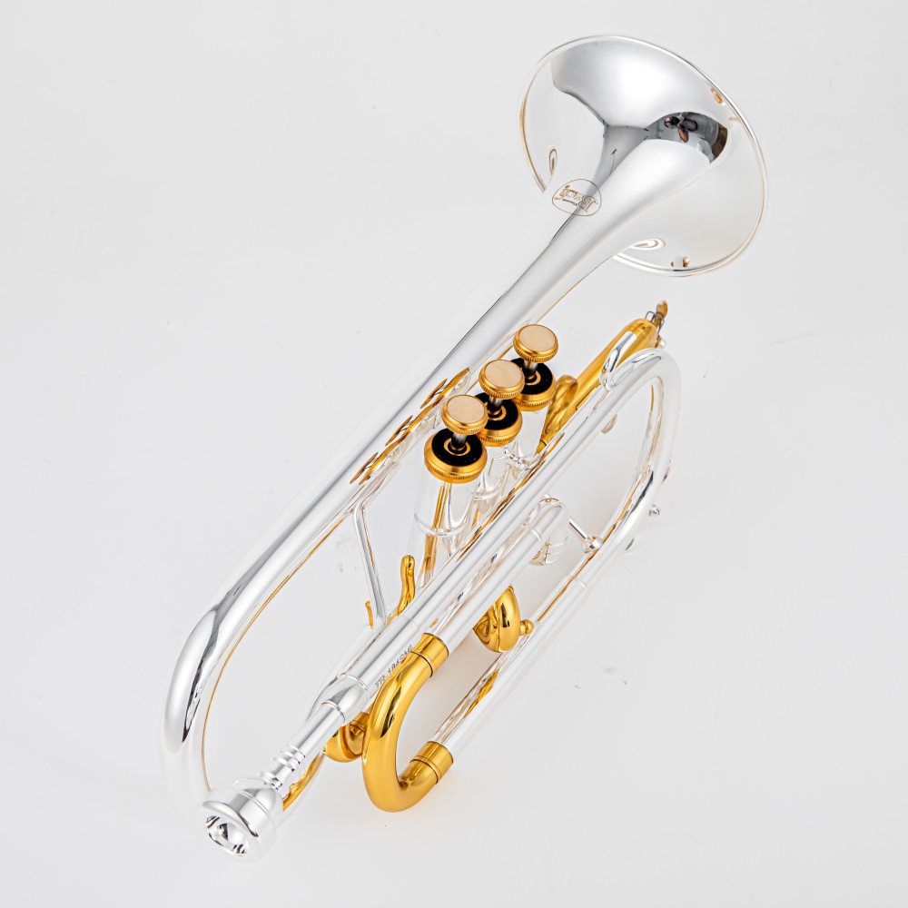 2026 High Grade BACH Silver Go - Musical Instrument Cornet recension och pris