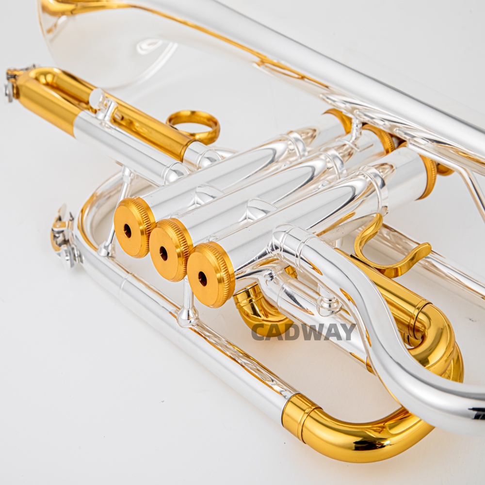 2026 High Grade BACH Silver Go - Musical Instrument Cornet recension och pris
