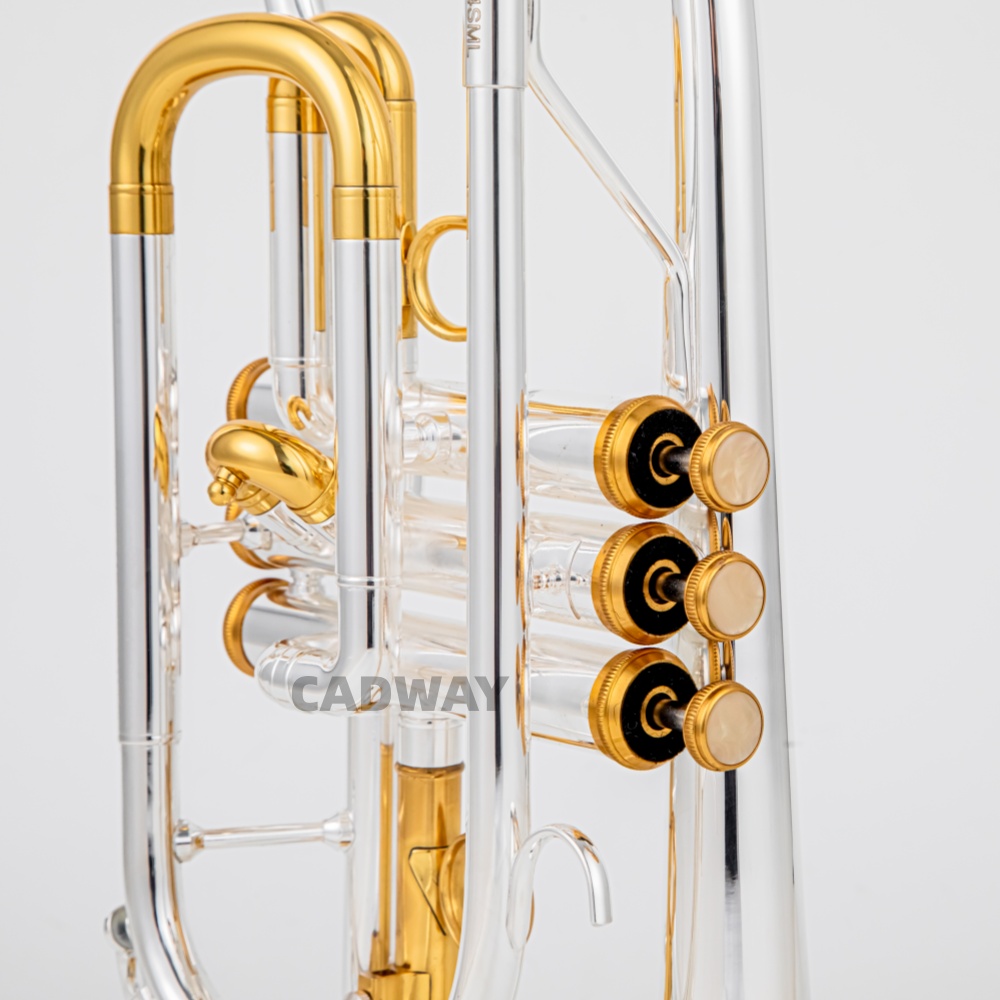2026 High Grade BACH Silver Go - Musical Instrument Cornet recension och pris