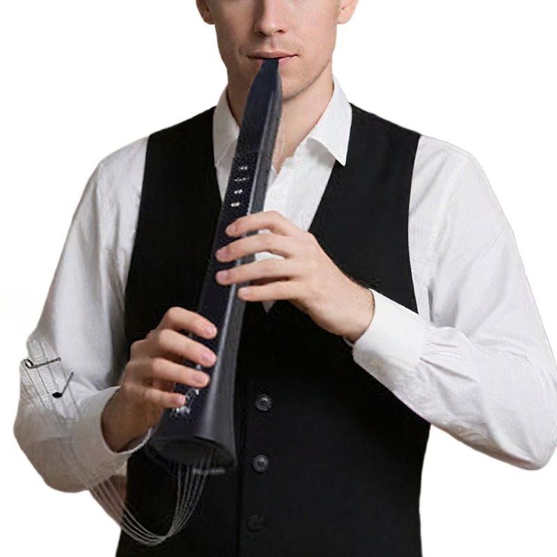 Portable Electronic Wind Instr - Musical Instrument Of recension och pris