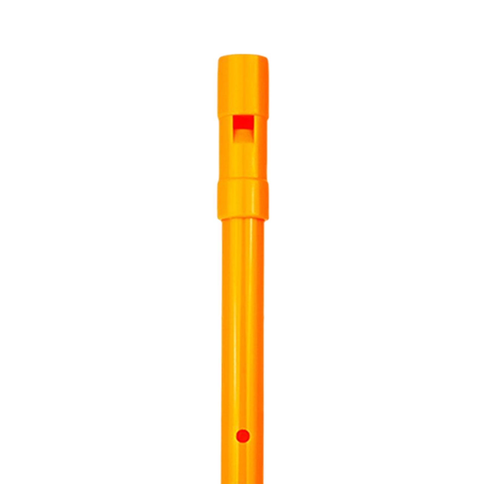 Traditional D Tin Whistle Begi - Tin Whistle Flute recension och pris