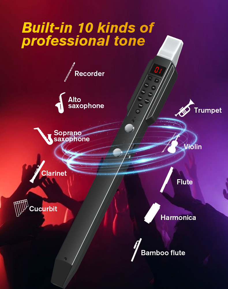 upgrade Mini Digital Electroni - Musical Instrument Fagot recension och pris