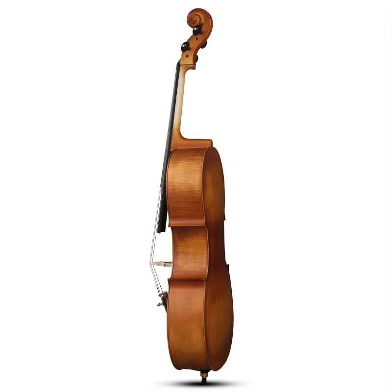 4/4 Matte Natural Color BASSWO - Musical Instrument In Orchestra recension och pris