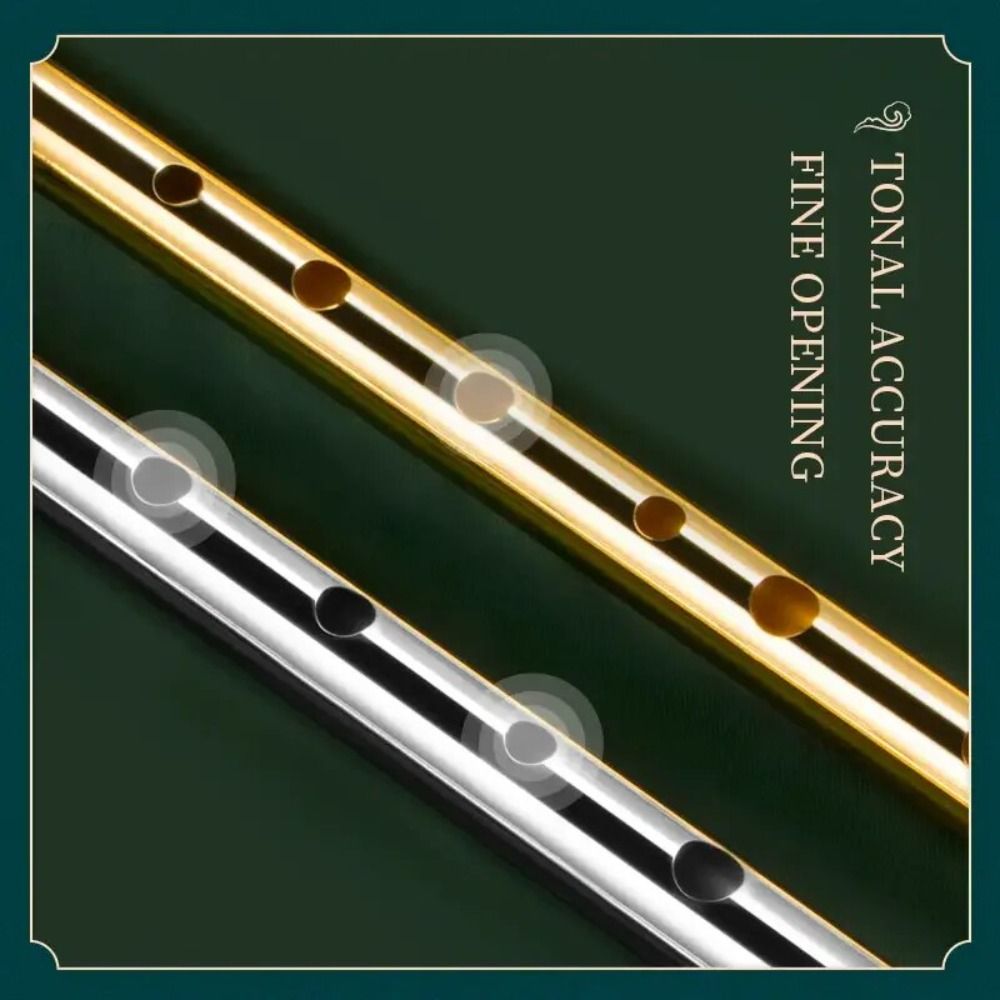 C/D Key Irish Whistle Flute 6  - Tin Whistle Flute recension och pris