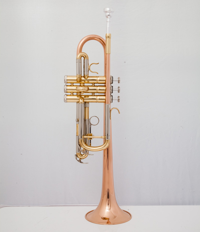 Professional C Trumpet  Music  - Musical Instrument Fagot recension och pris