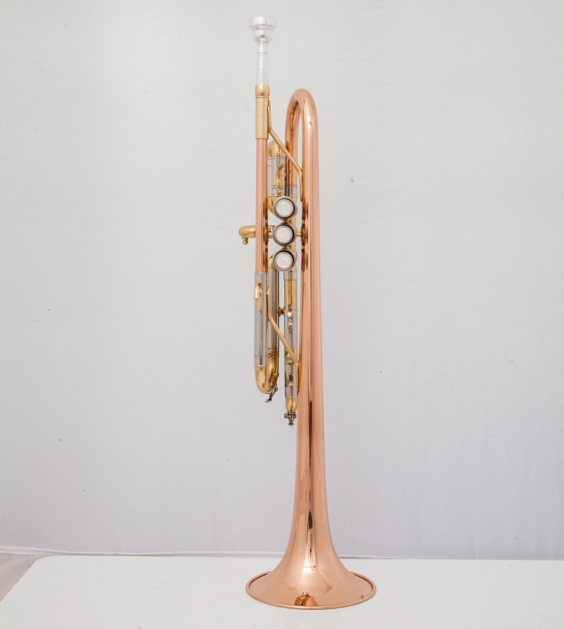 Professional C Trumpet  Music  - Musical Instrument Fagot recension och pris