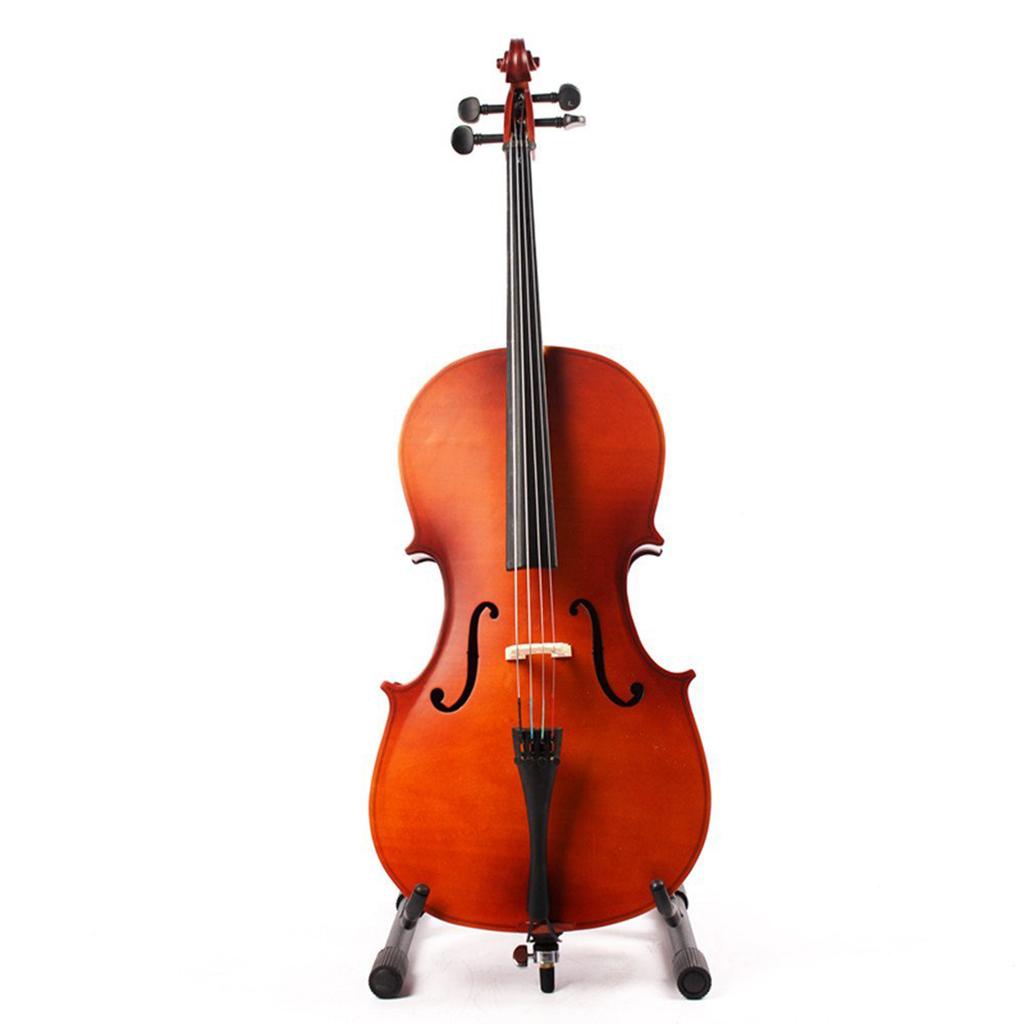 Musical Instrument Accessory C - Musical Instrument In Orchestra recension och pris