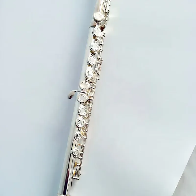 16 17 Hole Silver Plated Flute - Musical Instrument In Orchestra recension och pris