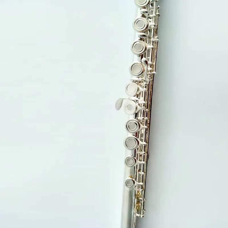 16 17 Hole Silver Plated Flute - Musical Instrument In Orchestra recension och pris