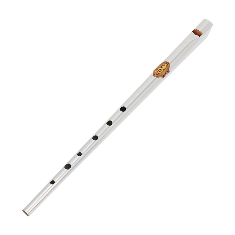 D/C Key Tin Whistle Student Be - Tin Whistle Flute recension och pris
