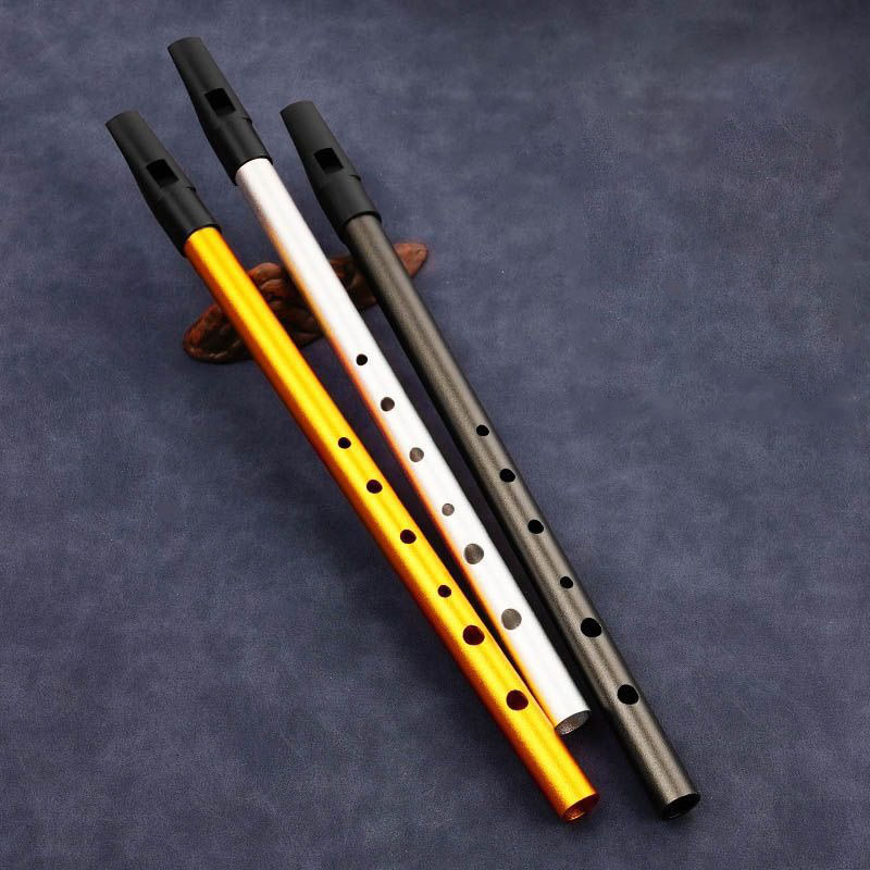 6 Hole Penny Whistle Student P - Tin Whistle Flute recension och pris